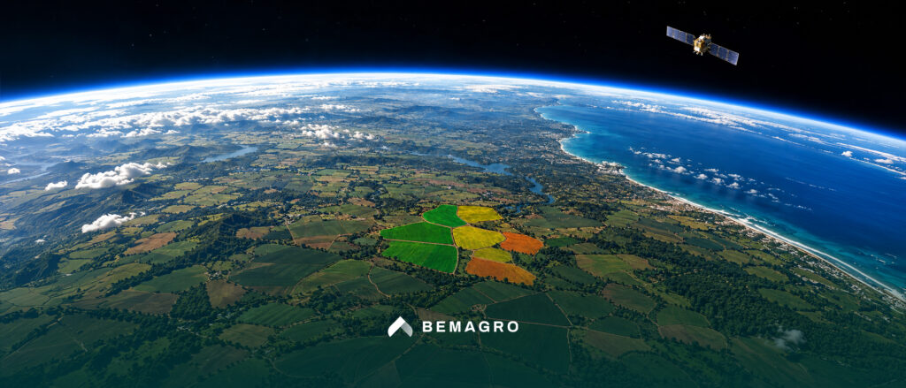 Monitoramento de plantas daninhas: como saber quais talhões precisam de atenção primeiro?